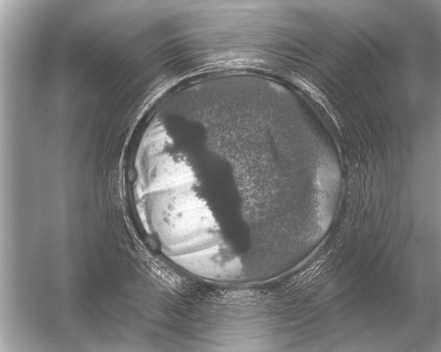 X0000055991031200509162246