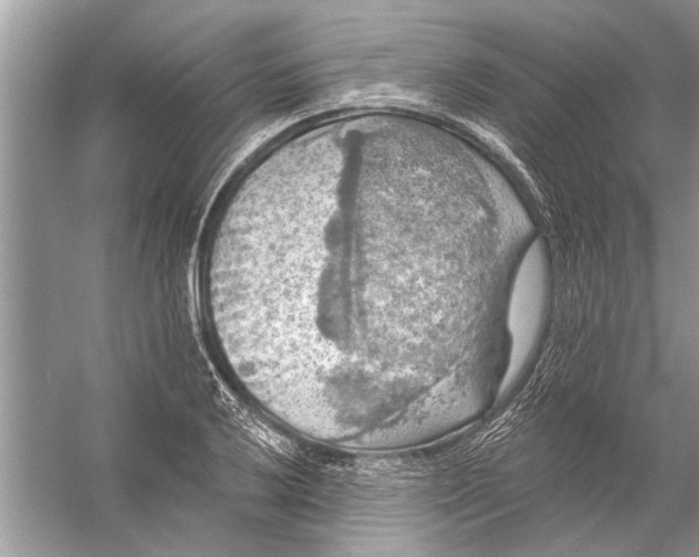 X0000055991032200509162246