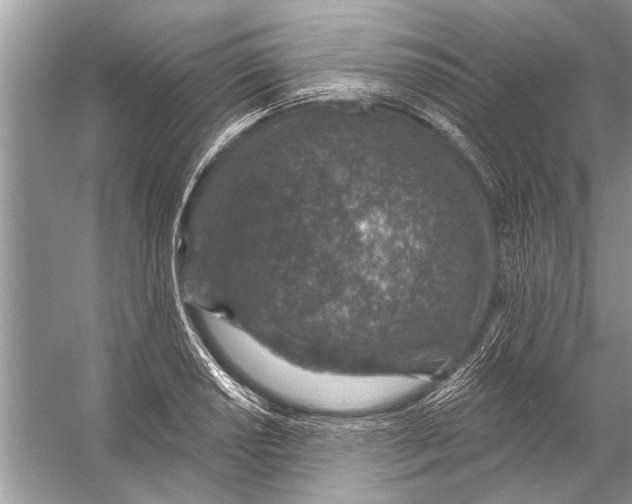 X0000055991034200509162246