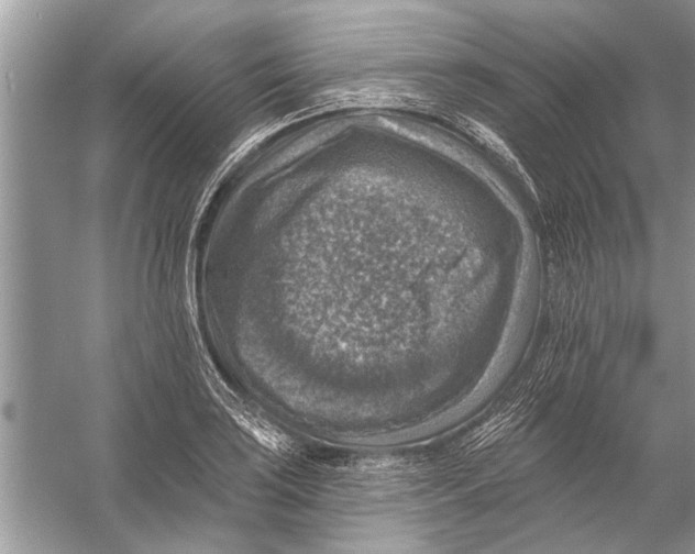 X0000055991035200509162246