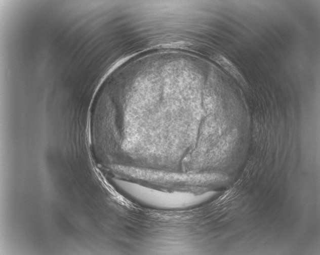 X0000055991036200509162246