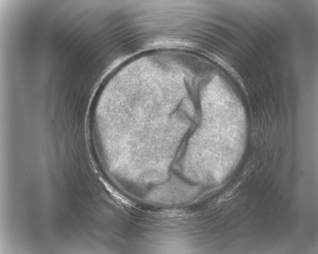 X0000055991037200509162246