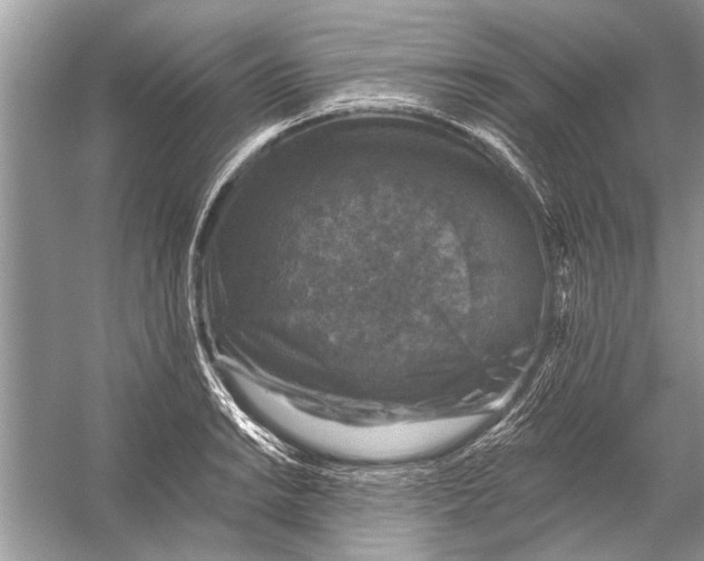 X0000055991038200509162246