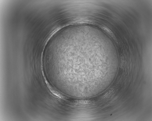 X0000055991039200509162246