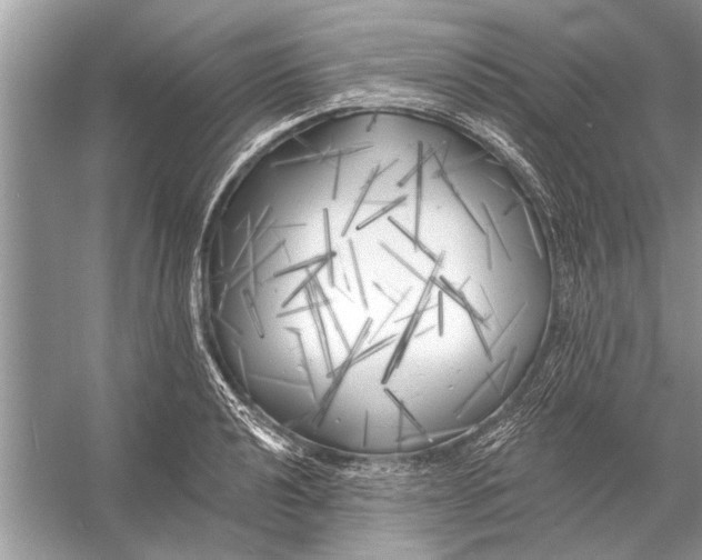 X0000055991040200509162246