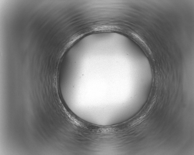 X0000055991041200509162246