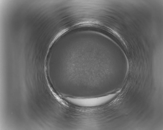 X0000055991042200509162246