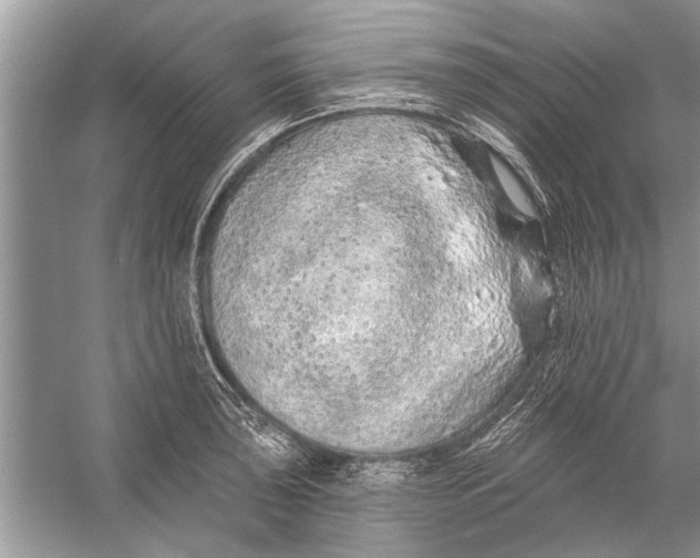 X0000055991043200509162246