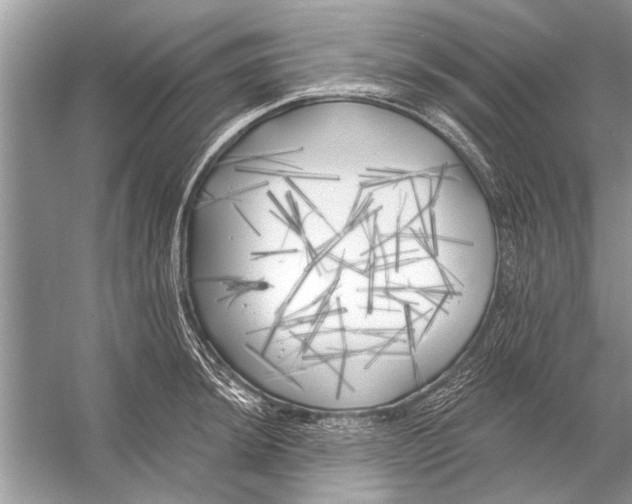 X0000055991044200509162246