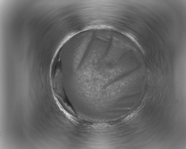 X0000055991046200509162246