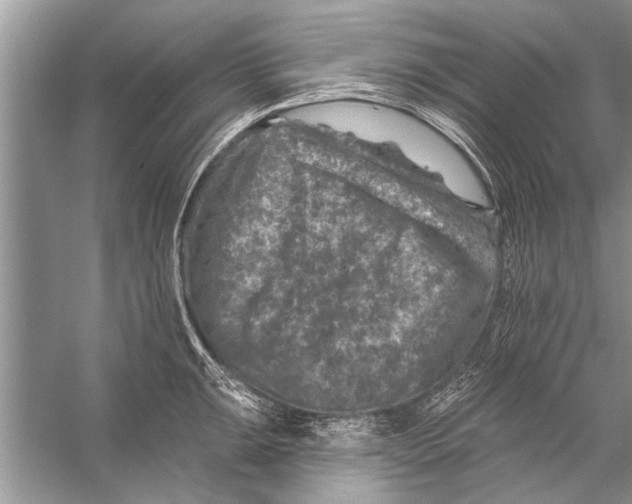 X0000055991047200509162246