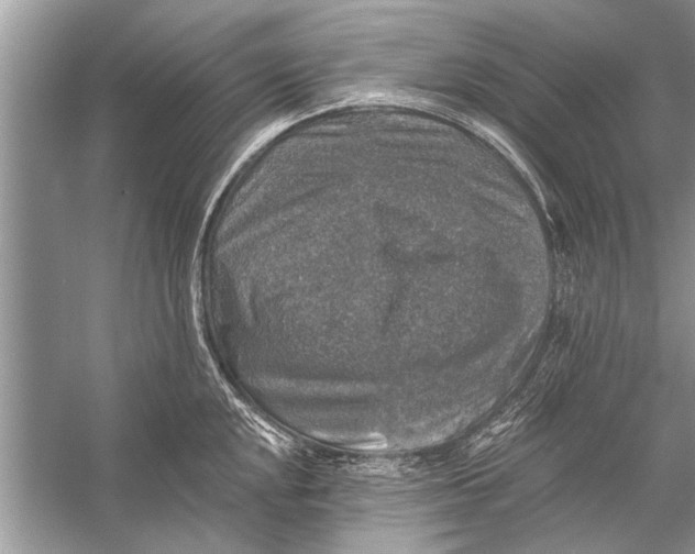 X0000055991048200509162246