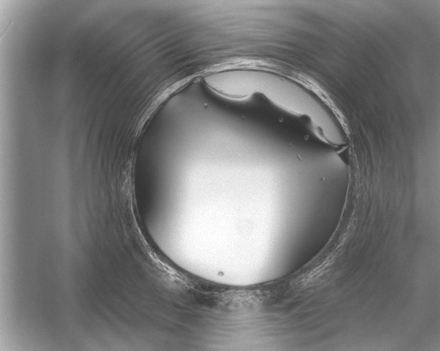 X0000055991049200509162246