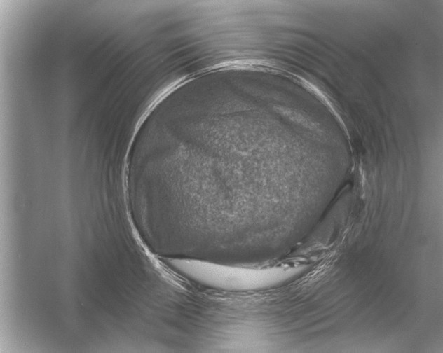 X0000055991050200509162246