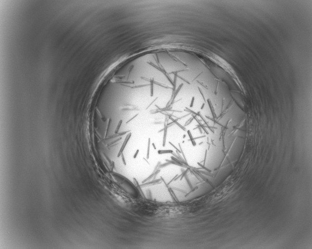 X0000055991051200509162246