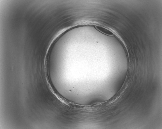 X0000055991053200509162246