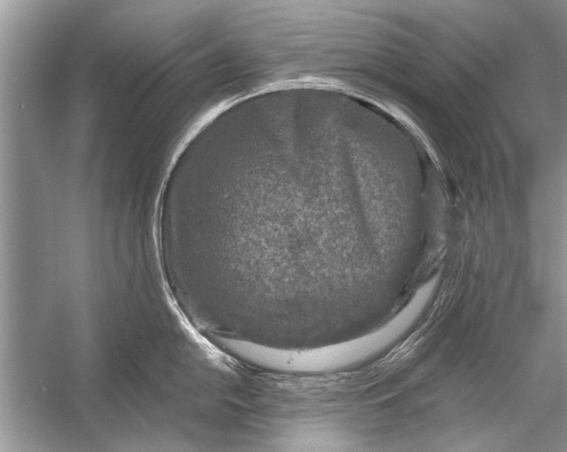 X0000055991054200509162246