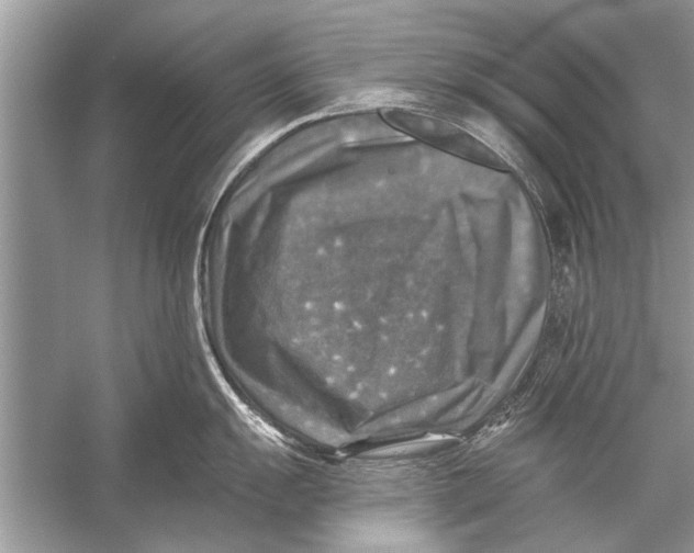 X0000055991055200509162246