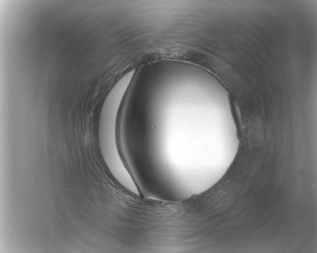 X0000055991058200509162246