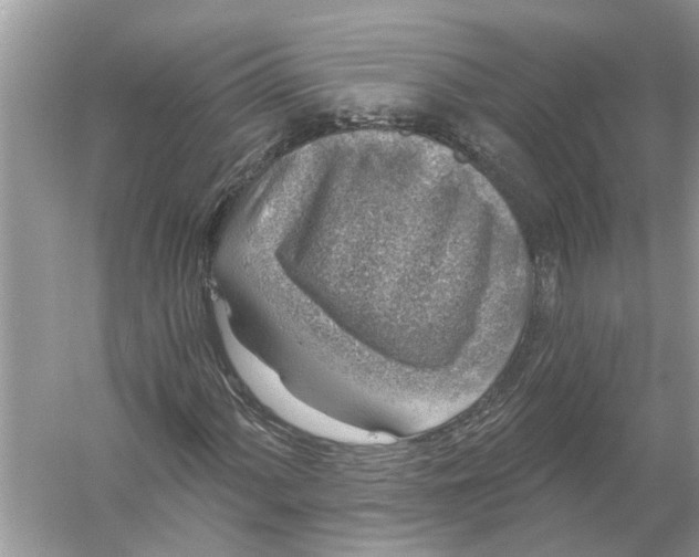 X0000055991060200509162246