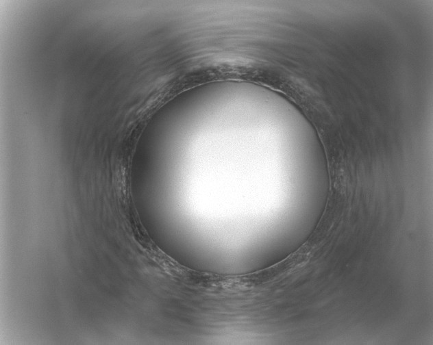 X0000055991061200509162246