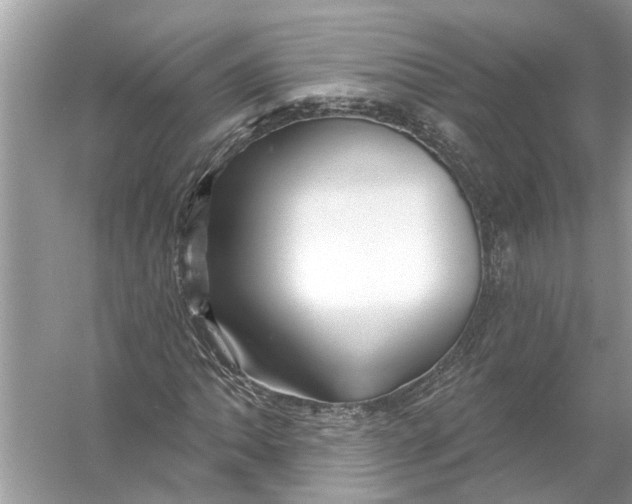 X0000055991062200509162246