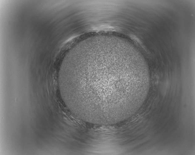 X0000055991063200509162245