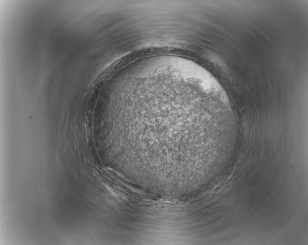 X0000055991064200509162245