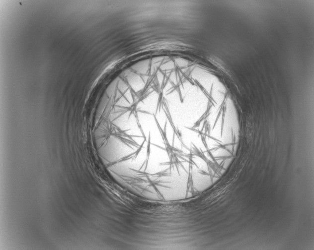 X0000055991067200509162245