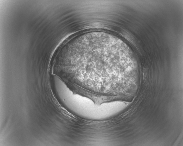 X0000055991068200509162245