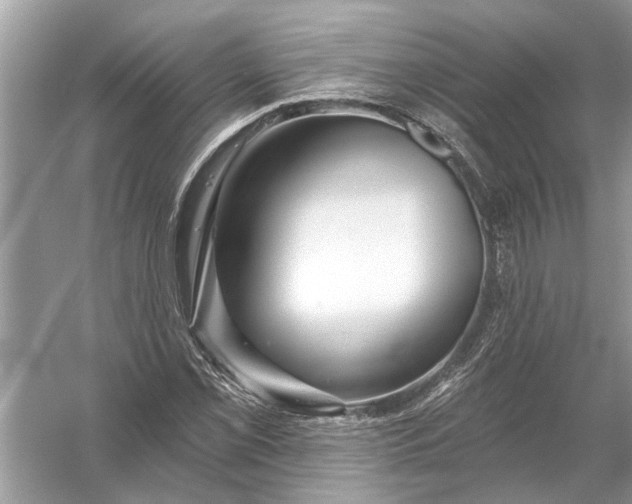 X0000055991069200509162245