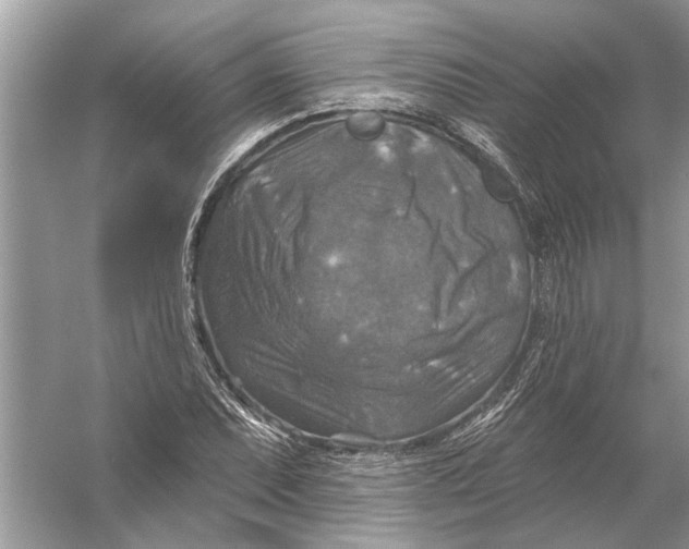 X0000055991071200509162245