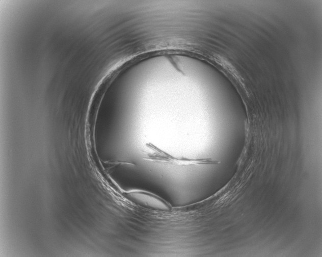 X0000055991072200509162245