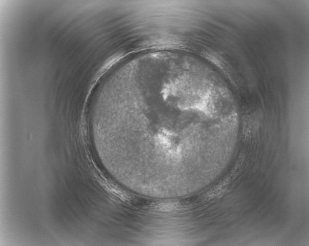 X0000055991074200509162245