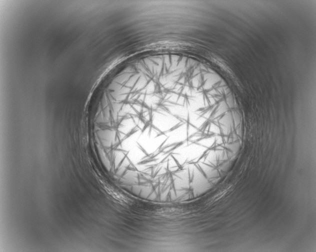 X0000055991075200509162245