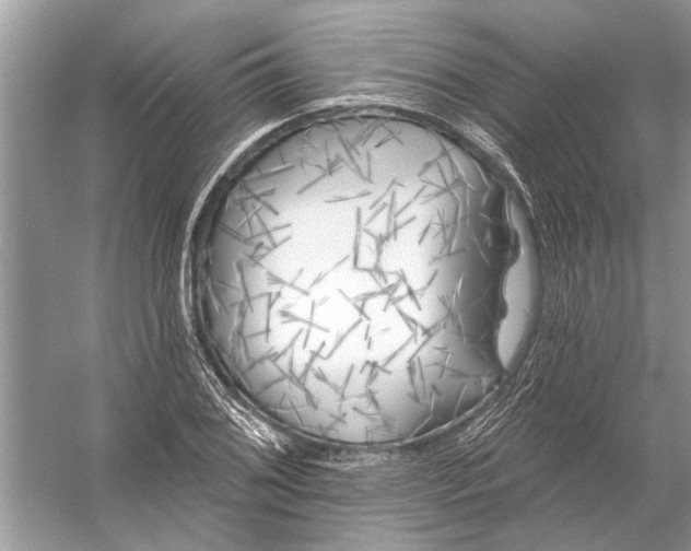 X0000055991076200509162245