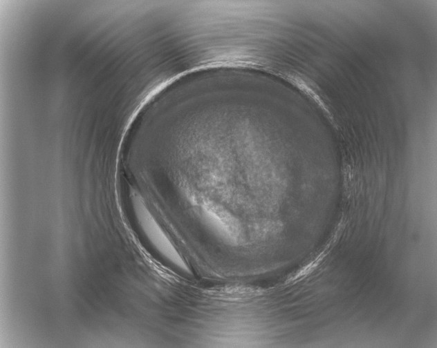 X0000055991077200509162245