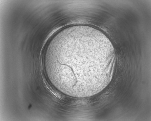 X0000055991078200509162245