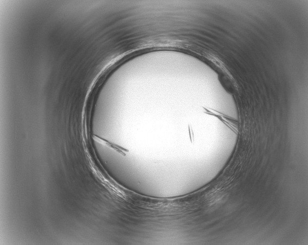 X0000055991080200509162245