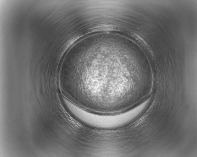 X0000055991081200509162245