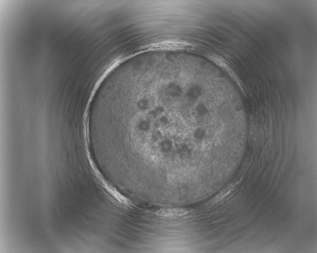 X0000055991083200509162245