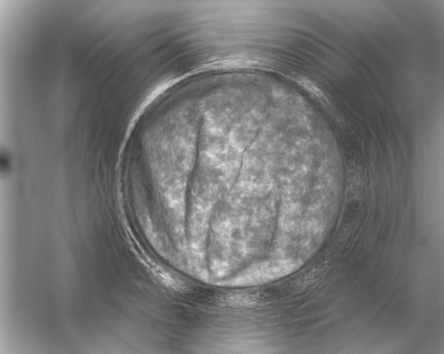 X0000055991086200509162245