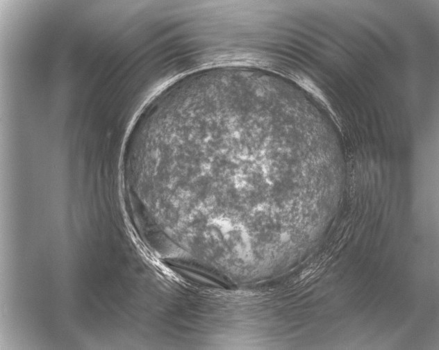 X0000055991088200509162245