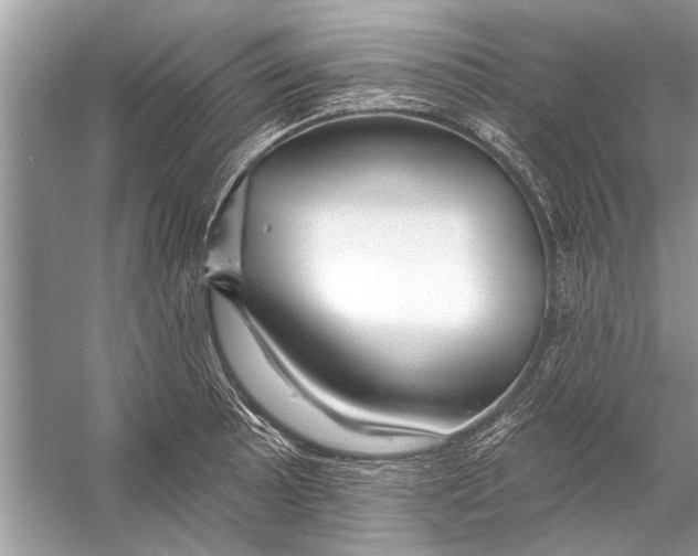 X0000055991089200509162245