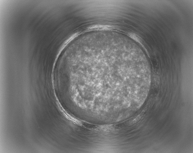 X0000055991090200509162245