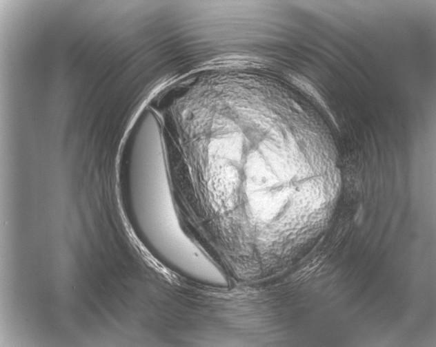 X0000055991091200509162245