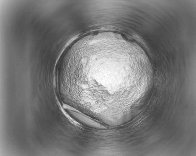 X0000055991095200509162245