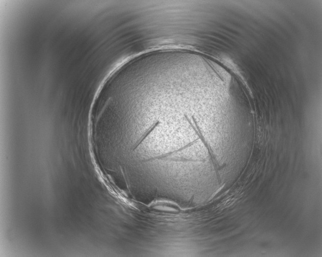 X0000055991096200509162245