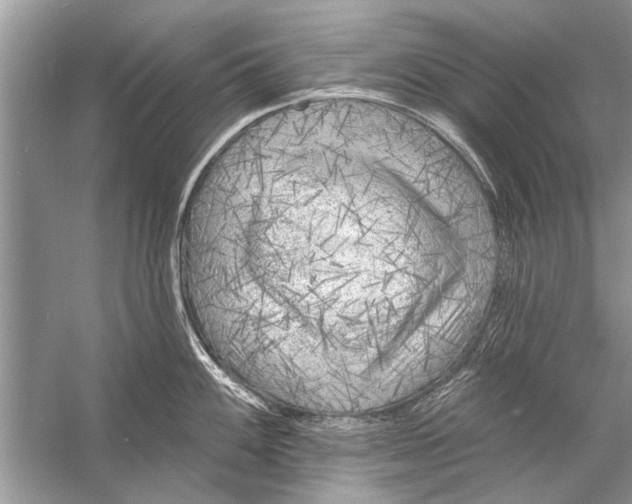 X0000055991100200509162245