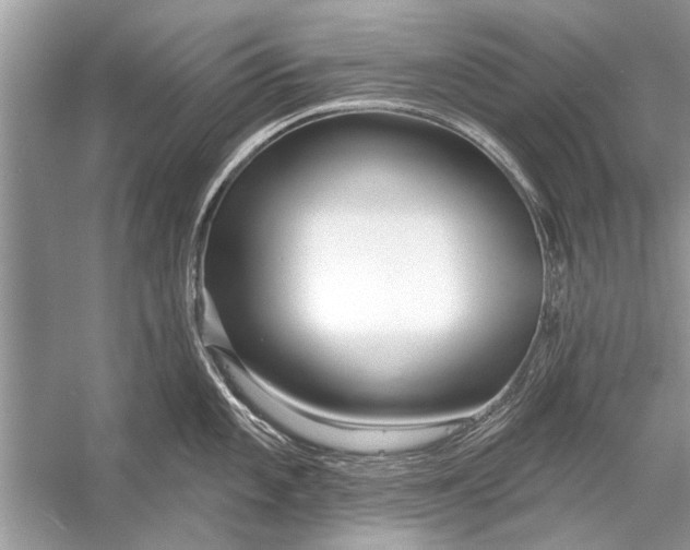 X0000055991101200509162245